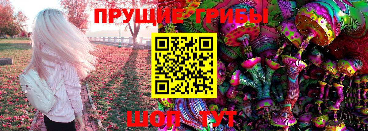 Ростов-на-Дону  Псилоцибиновые грибы GOLDEN TEACHER  Вход с VPN 