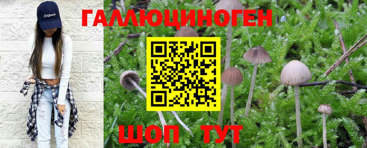 Псилоцибиновые грибы Magic Shrooms Ростов-на-Дону